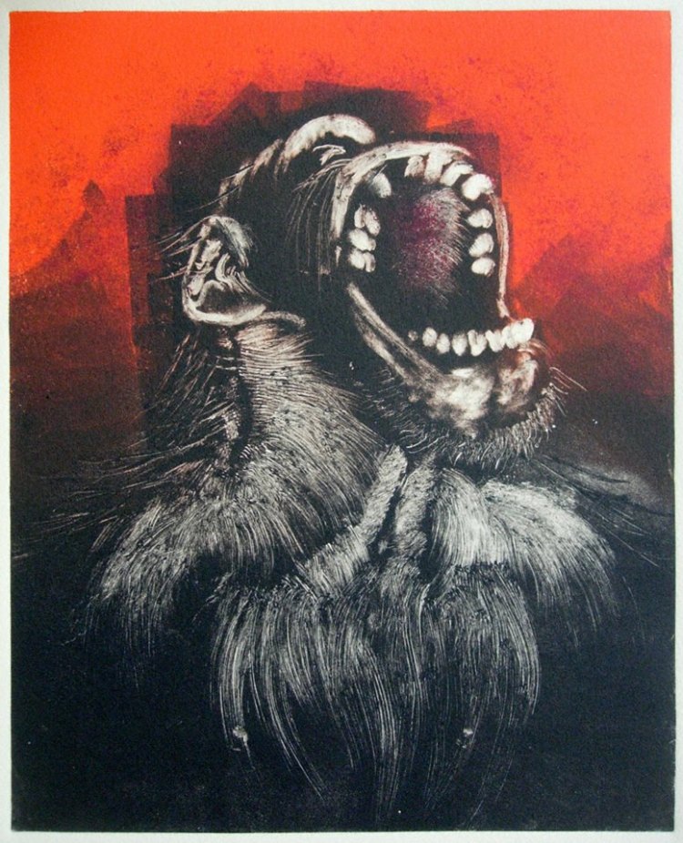 16402015_1101093766680122_548346158_n